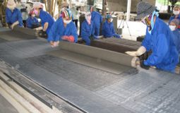 Chưa có vật liệu đủ sức thay sợi amiăng trắng trong sản xuất tấm lợp