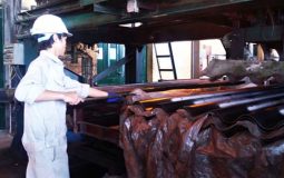 Sử dụng amiăng trắng - Cho phép sử dụng nhưng phải kiểm soát