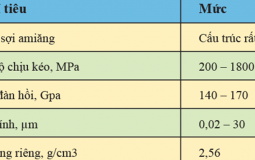 17 năm chưa tìm ra bệnh nhân ung thư bởi sợi amiăng trắng