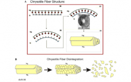 The safety in using chrysotile containing products.