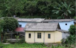 Roadmap to cease the use of chrysotile – Many unresolved issues