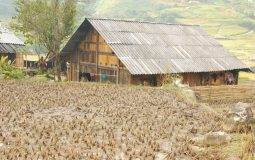 VNRA Official Dispatch No.05 - Report and recommendation on the use of chrysotile in Vietnam