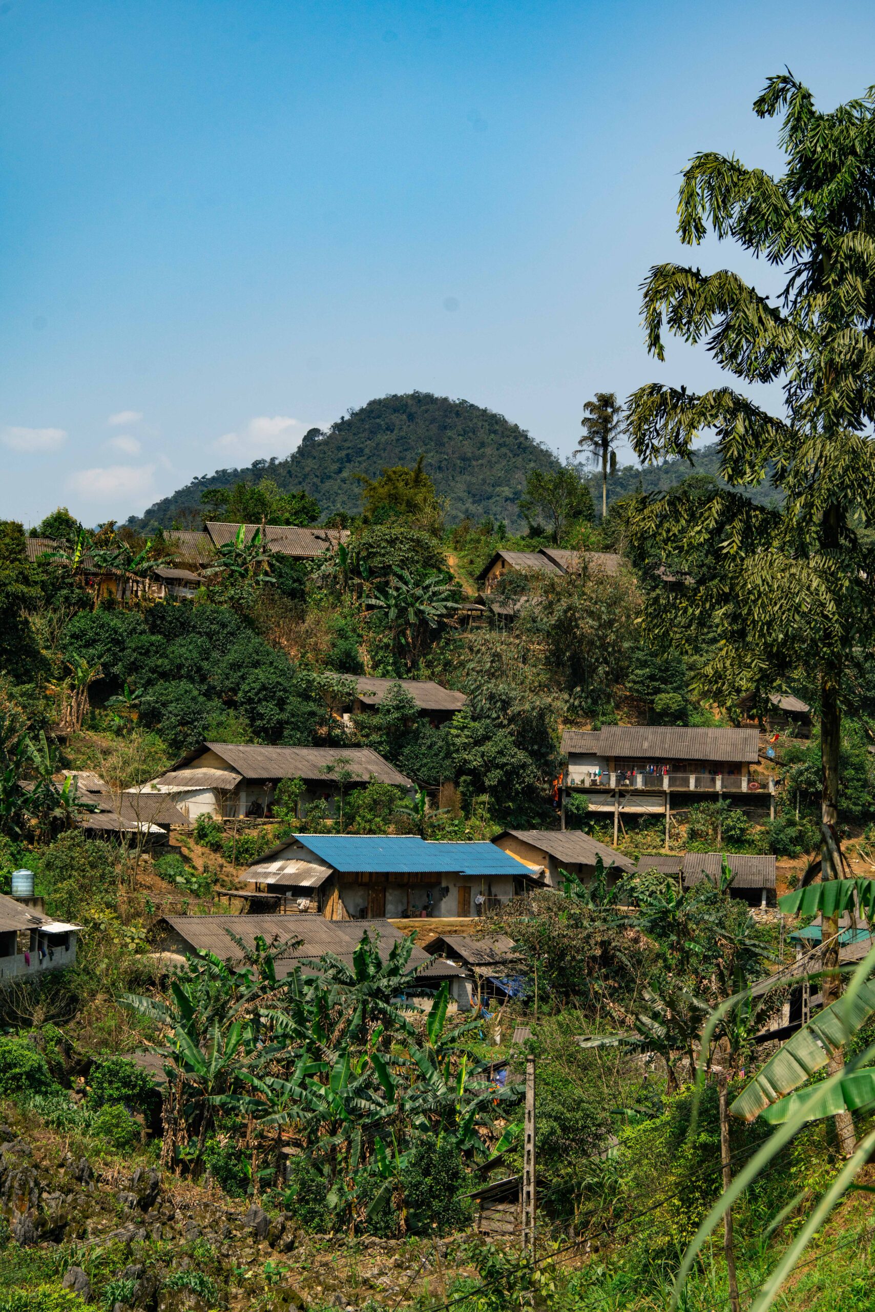 dsc9222
